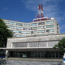 Guerra  oficial contra las antenas