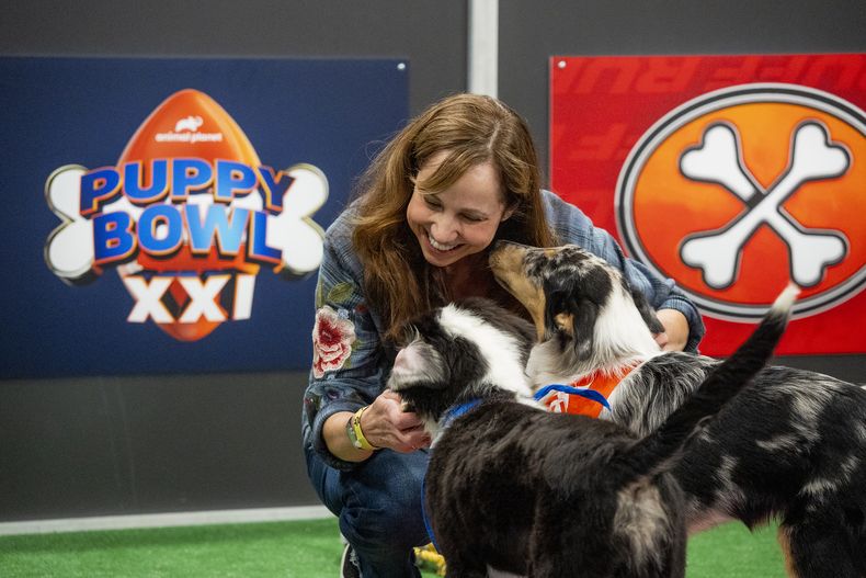 Esta imagen proporcionada por Animal Planet/Warner Bros. Discovery muestra a la entrenadora Victoria Schade interactuando con perros en el set de Puppy Bowl XXI, que se transmite el domingo. (Animal Planet/Warner Bros. Discovery via AP)