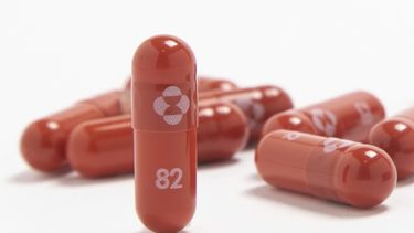 EEUU autoriza 2da píldora contra COVID, ahora de Merck
