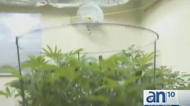 americateve | En el operativo la policía arrestó a 11 personas, nueve cubanos y dos norteamericanos, uno de los acusados vivía en esta casa y era supervisor de una empresa.