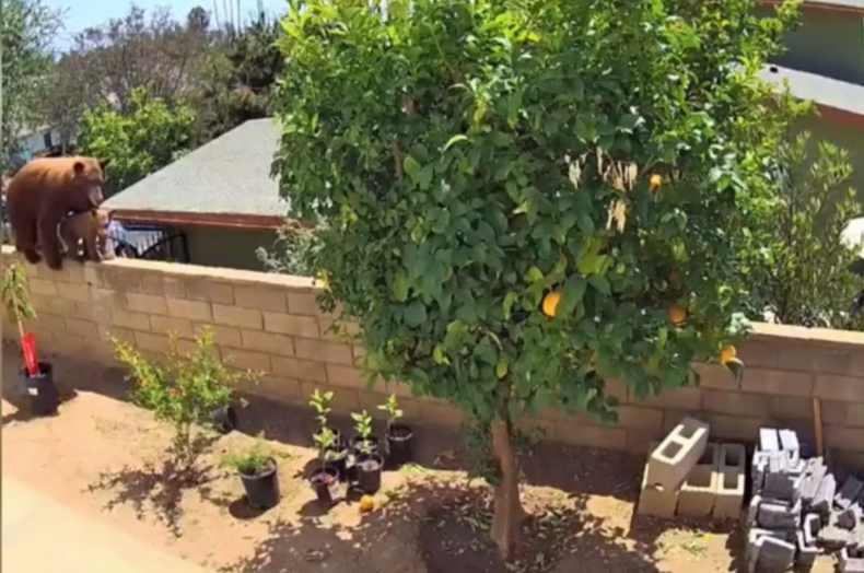 Screen Shot 2021-06-01 at 6.54.46 PM.png