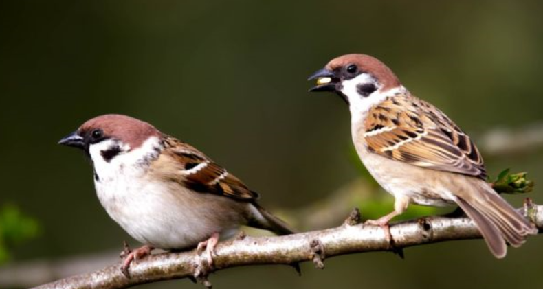 Screenshot (1760).png