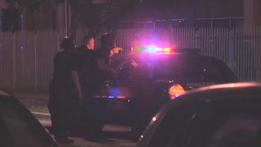 arrestan a grupo de jovenes que asaltaron a personas en hialeah