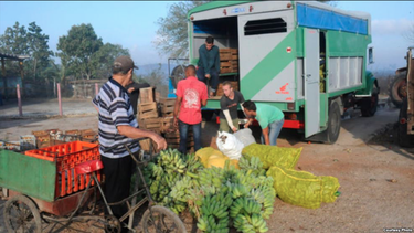 cierran otro agromercado mayorista en cuba