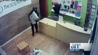 captados en camara tres ladrones robando una tienda en weston