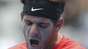 americateve | El argentino Juan Mart&iacute;n del Potro grita luego de fallar un tiro en su duelo de cuartos de final contra el checo Radek Stepanek, en el torneo de Sydney, el jueves 9 de enero de 2014 (AP Foto/Rob Griffith)