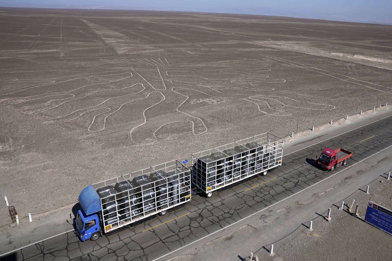 Camiones circulan por la Carretera Panamericana frente a los geoglifos conocidos como las Líneas de Nazca en Nazca, Perú, el miércoles 17 de mayo de 2023. (Foto AP/Martín Mejía)