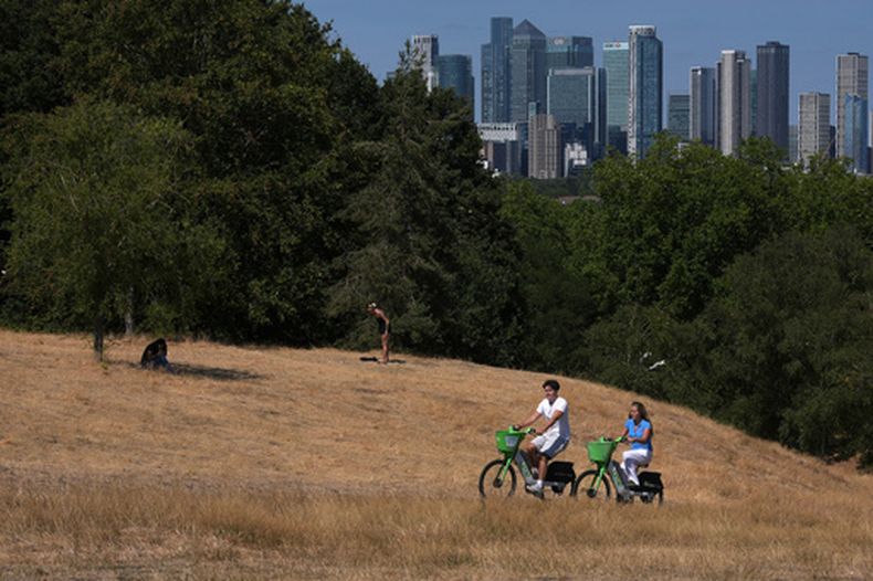 Personas en bicicleta en medio de césped seco en el Greenwich Park de Londres el 11 de agosto del 2026. (AP foto/Kin Cheung)
