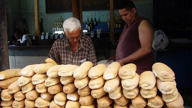 harina de maiz, calabaza y yuca, los ingredientes que usa el gobierno para aumentar la produccion de pan
