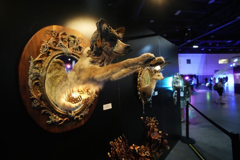 Una obra de arte en una exhibición de la conferencia de Ciencia Alucinógena en el Centro de Convenciones de Colorado, el miércoles 21 de junio de 2023, en Denver. (AP Foto/David Zalubowski)
