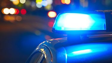 ocupan millonario alijo de cocaina vinculado con narco asesinado