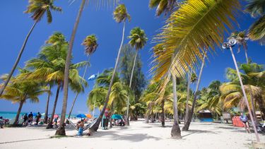 importantes los visitantes lgbttq para el turismo