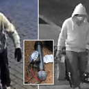 Detenido un sospechoso de intento de ataque con bombas la víspera del asalto al Capitolio Detenido un sospechoso de intento de ataque con bombas la víspera del asalto al Capitolio