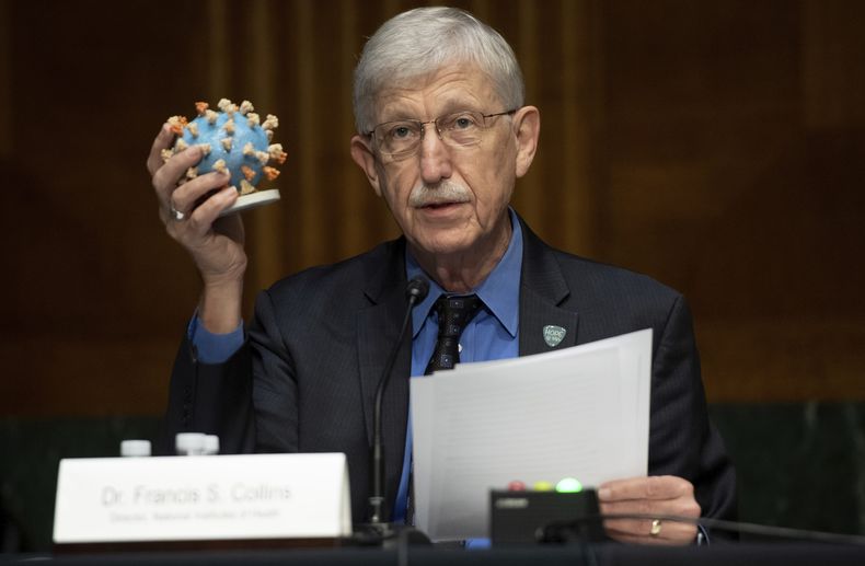 ARCHIVO- El doctor Francis Collins, director de los Institutos Nacionales de Salud (NIH), sostiene un modelo de COVID-19, conocido como coronavirus, durante una audiencia del subcomité de Asignaciones Presupuestarias del Senado sobre el plan para investigar, fabricar y distribuir una vacuna contra el coronavirus, conocida como Operación Warp Speed, el jueves 2 de julio de 2020, en el Capitolio en Washington. (Saul Loeb/Pool foto via AP, archivo)