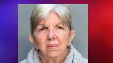 la golpeaba cada vez que se equivocaba: arrestan a profesora de ingles de miami por golpear brutalmente a una nina de 7 anos