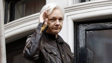 Abogado de Assange dice que luchará contra los cargos