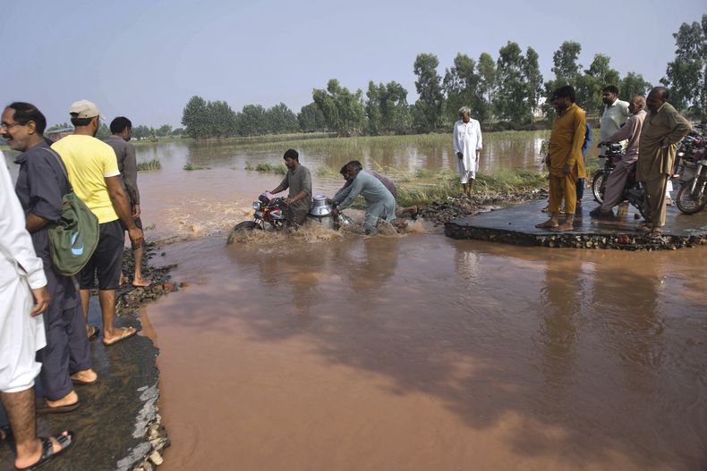 Las inundaciones en las afueras de Sodhra en el distrito de Wazirabad en Pakistán, el 29 de agosto del 2025. (AP foto/A. Rizvi)