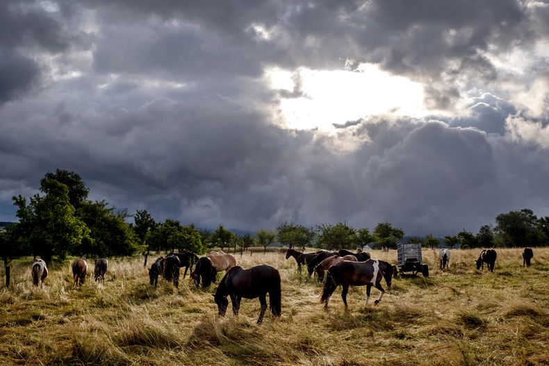 La escena después de la tormenta en una granja en Wehrheim cerca de Fráncfort, Alemania, el 5 de julio de 2023. (Foto AP /Michael Probst)