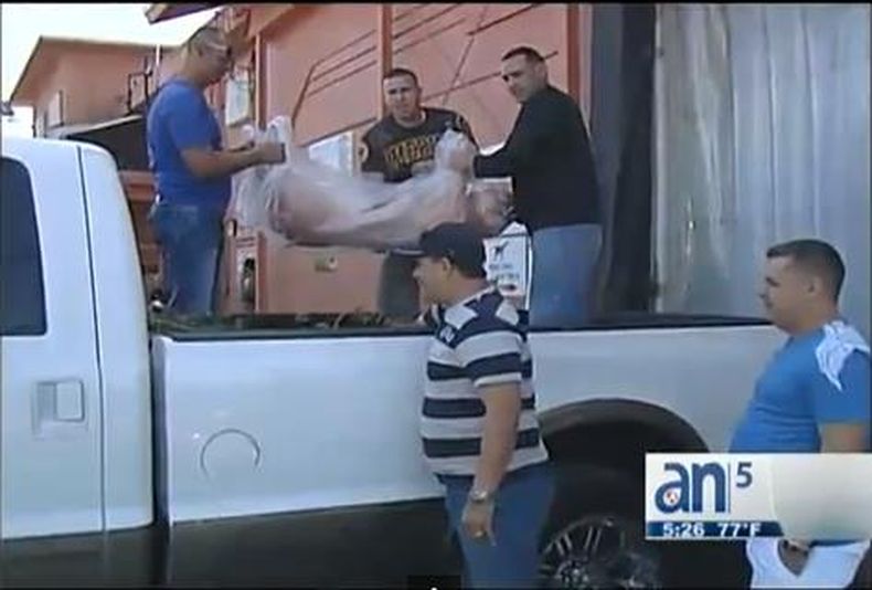 América Noticias visitó el popular Matadero Cabrera para ver cómo trabajan los empleados con motivo de las fiestas.