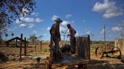 agricultores de indiana buscan establecer comercio con cuba
