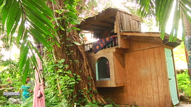 americateve | casa en un arbol.png