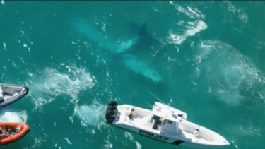 avioneta cae en una de las playas de miami