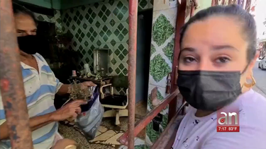 madres tienen que curar con hierba la sarna de sus hijos ante escasez de medicamentos en cuba