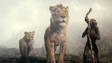 Esta imagen proporcionada por Disney muestra a los personajes Sarabi, con la voz de Tiffany Boone, izquierda, Mufasa, con la voz de Aaron Pierre, en el centro, y Rafiki, con la voz de Kagiso Lediga en una escena de Mufasa: The Lion King (Mufasa, El Rey León). (Disney vía AP)
