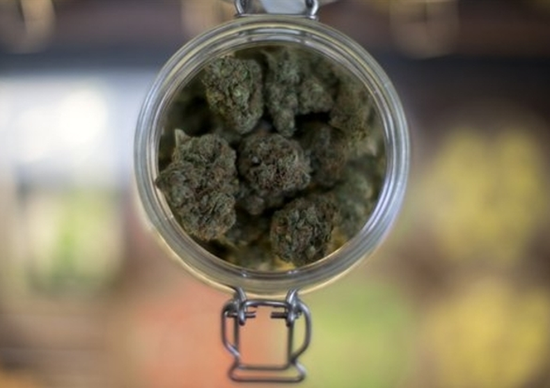 La enmienda 2, la más controvertida, buscaba legalizar el uso médico de la marihuana.