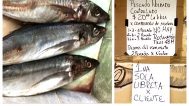 regimen vende a altos precios pescado sin refrigeracion