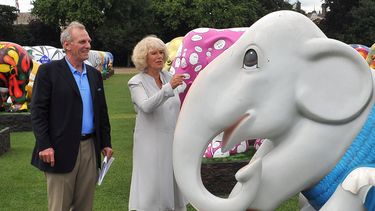 americateve | Esta fotograf&iacute;a de archivo del 24 de junio de 2010 muestra a Mark Shand, izquierda, hermano de la duquesa de Cornualles mientras le mostraba la escultura de un elefante llamada Sr. Cameron en una exhibici&oacute;n en los Jardines del Hospital Chels