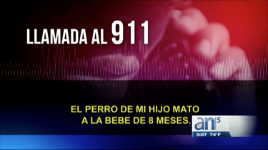 la llamada al 911 de la abuela que vio morir a su nieta atacada por un pitbull sale a la luz