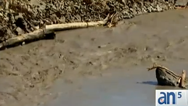 americateve | Al menos 14 personas han muerto y unas 108 están desaparecidas después de un enorme deslave en el Estado de Washington. Esta tarde los equipos de rescate trabajaban en condiciones sumamente peligrosas intentando encontrar a más víctimas.