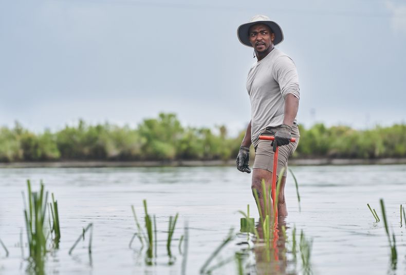 En esta imagen proporcionada por National Geographic, el actor y presentador Anthony Mackie en los pantanos cerca de Violet, Luisiana, durante el rodaje de Shark Beach with Anthony Mackie. (Brian Roedel/National Geographic via AP)
