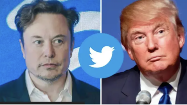 Elon Musk responde a los rumores sobre el regreso de Donald Trump a TwitterElon Musk responde a los rumores sobre el regreso de Donald Trump a Twitter