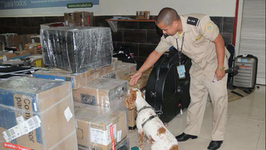 dictadura cubana admite que se ha convertido en destino de droga