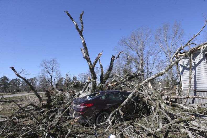 Un vehículo queda debajo de los restos de un árbol caído tras el paso de una tormenta, el lunes 17 de febrero de 2025, en Shannon, Mississippi. (Thomas Wells/The Northeast Mississippi Daily Journal vía AP)