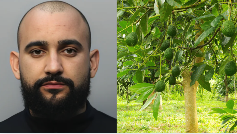 Screenshot 2025-12-23 at 9.42.04 PM