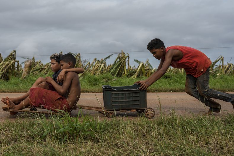 Niños juegan en una carretera junto a una plantación de bananos que fue destruida tras el paso del huracán Rafael, en Guira de Melena, Cuba, el jueves 7 de noviembre de 2024. Dos días después de su paso, las autoridades informaron el viernes 8 de noviembre de 2024 que se logró reconectar parte de su sistema energético desde la capital hasta el extremo oriente cubano, aunque muchas localidades todavía permanecen a oscuras en el occidente. (Foto AP/Ramón Espinosa)