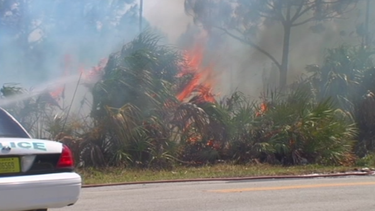 americateve | incendio.png