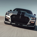El nuevo Shelby GT500 es el Ford Mustang  más rápido y potente de la historia