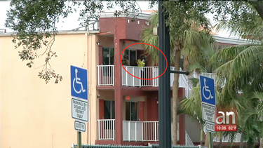 un ladron se atrinchero en un hotel de plantation provocando fuerte operativo policial