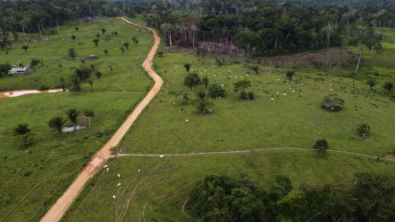 REP-GEN BRASIL-AMAZONIA-DEFORESTACIÓN
