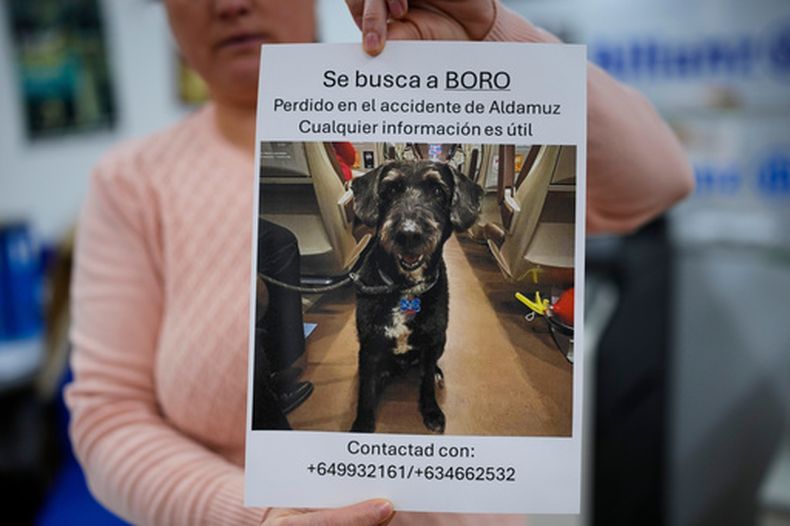 Una mujer sostiene un cartel con la frase Se busca a Boro. Perdido en el accidente de Adamuz. Cualquier información es útil, para tratar de dar con un perro desaparecido durante un accidente de trenes de alta velocidad en Adamuz, en el sur de España, el 21 de enero de 2026. (AP Foto/Manu Fernández)