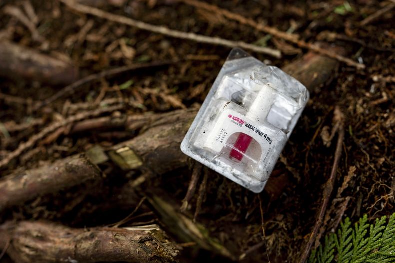 ARCHIVO – Empaque de Narcan, o naloxona, sobre las raíces de un árbol en un campamento de personas sin hogar en Bellingham, Washington, el jueves 8 de febrero de 2024. (AP Foto/Lindsey Wasson, File)