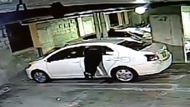 Ola de autos vandalizados en Broward