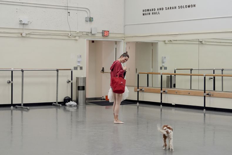 Unity Phelan y su perro Pippin salen después de un ensayo para el papel de Phelan como Odette, reina de los cisnes, en El Lago de los Cisnes del Ballet de la Ciudad de Nueva York, el martes 25 de febrero de 2025, en Nueva York. (Foto AP/Julia Demaree Nikhinson)