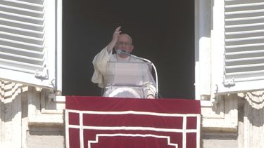 el papa aplaza consulta sobre el futuro de la iglesia