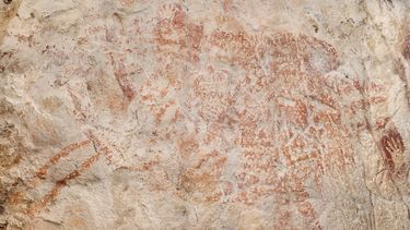 Hallan imagen más antigua de animal en una cueva en Borneo
