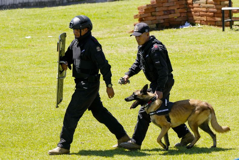 El perro Dayco realiza una demonstración de su trabajo tras recibir una medalla en una ceremonia de reconocimiento por su labor como parte de una brigada de inteligencia militar en Quito, Ecuador, el lunes 3 de junio de 2024. (AP Foto/Dolores Ochoa)